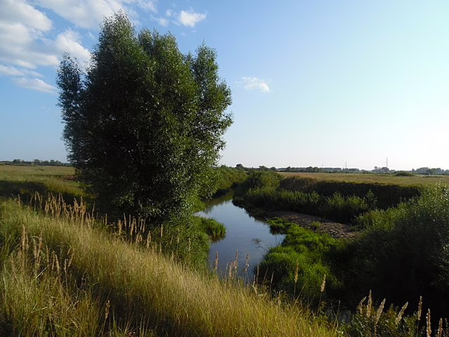 Фото: commons.wikimedia.org/Alexander Philippov/Creative Commons Attribution 3.0