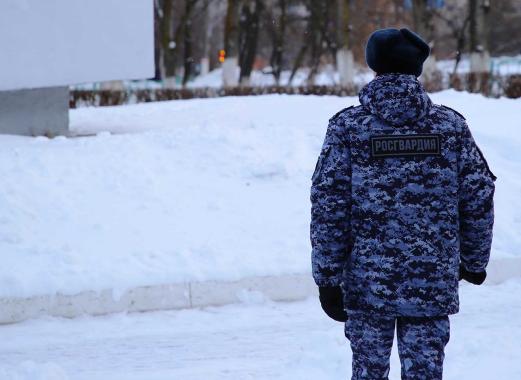 Фото: 13.rosguard.gov.ru