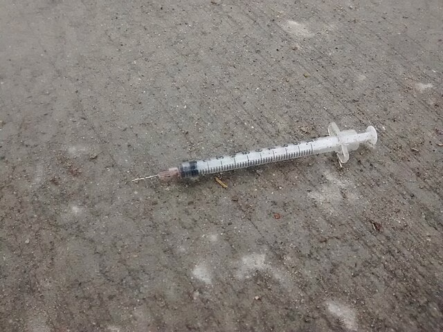 Фото: commons.wikimedia.org/Accuruss/Creative Commons Attribution-Share Alike 4.0