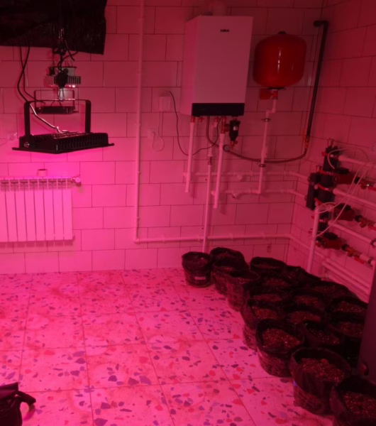 Фото: 13.мвд.рф