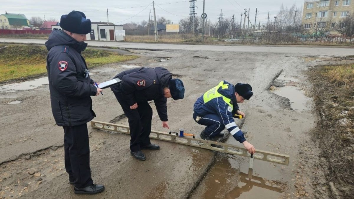 Фото: ММО МВД России «Лямбирский»