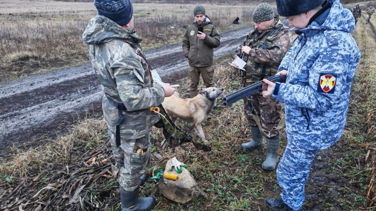 Фото: 13.rosguard.gov.ru