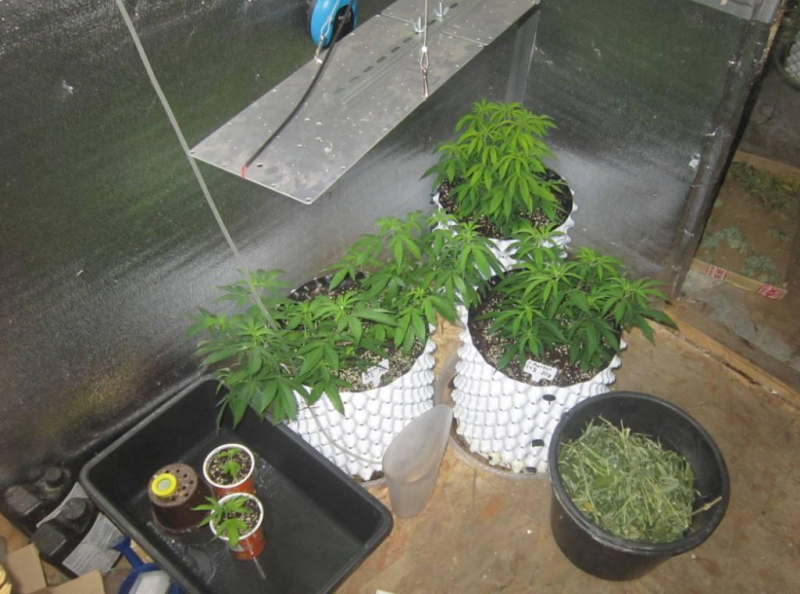 Фото: 13.мвд.рф