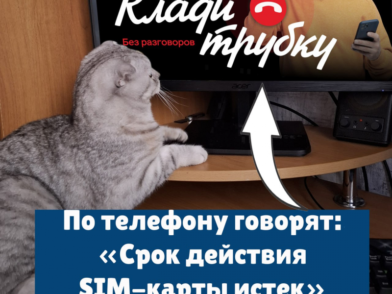 Фото: 13.мвд.рф