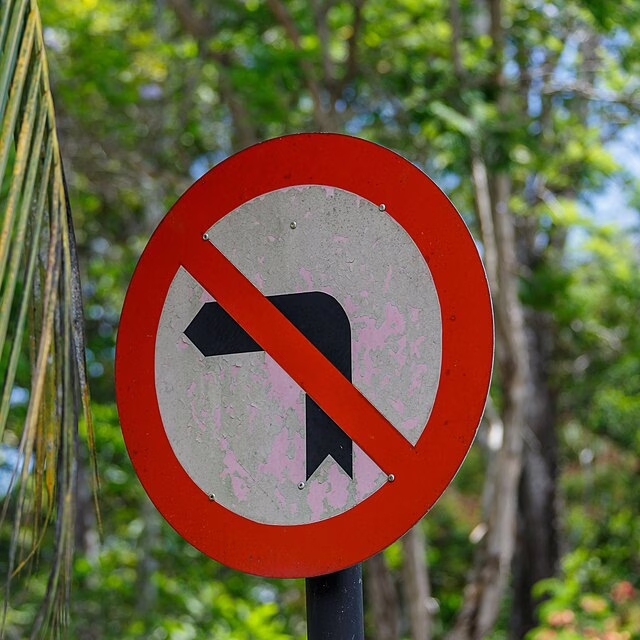 Фото: commons.wikimedia.org/CEphoto, Uwe Aranas/Creative Commons Attribution-Share Alike 3.0