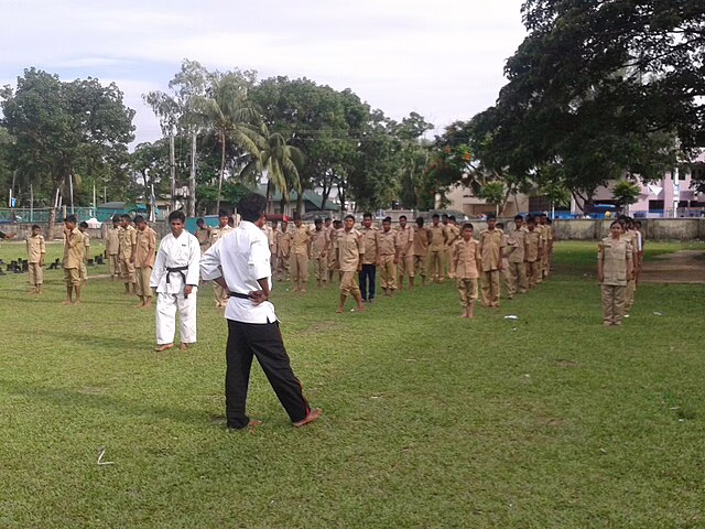 Фото: commons.wikimedia.org/BashudebTR/Creative Commons Attribution-Share Alike 4.0