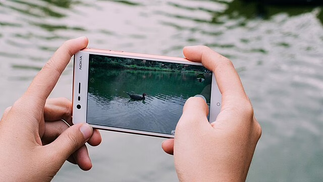 Фото: commons.wikimedia.org/Tinh tế Photo/Creative Commons Zero, Public Domain Dedication