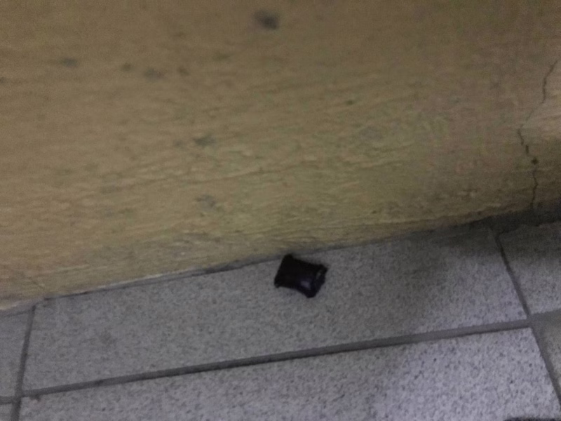 Фото: 13.мвд.рф