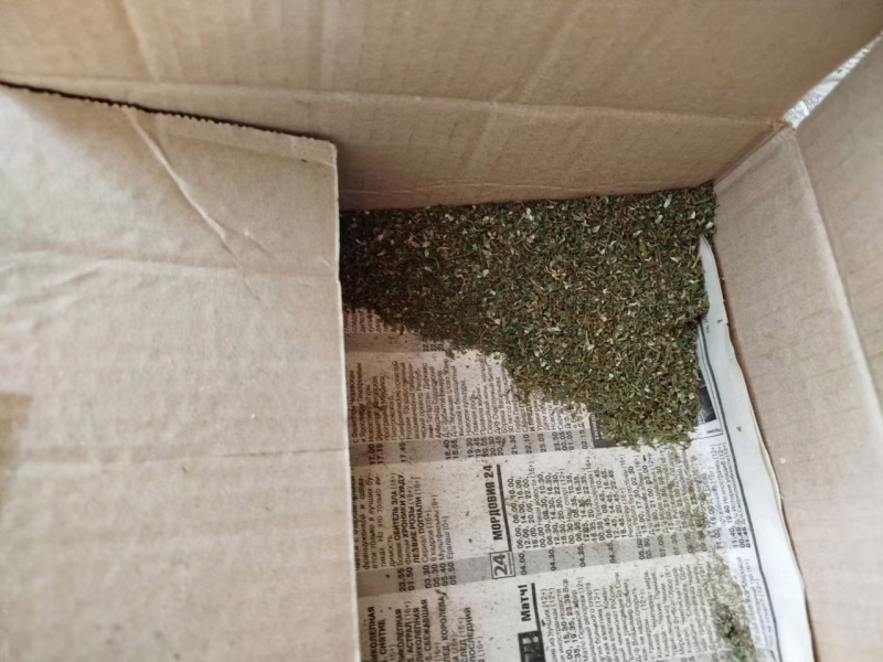 Фото: 13.мвд.рф