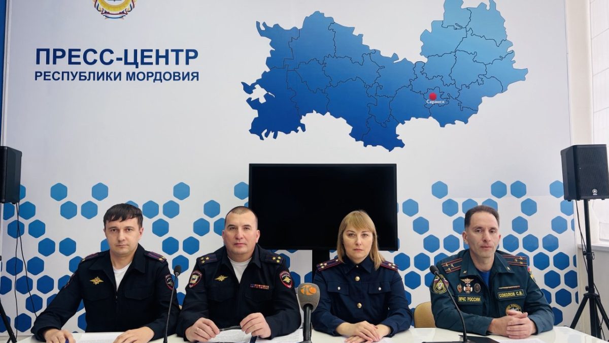 Фото: 13.мвд.рф