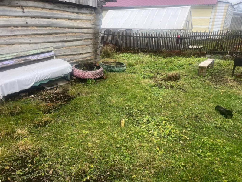 Фото: 13.мвд.рф