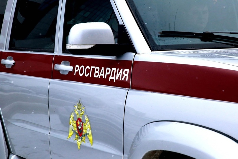 Фото: 13.rosguard.gov.ru