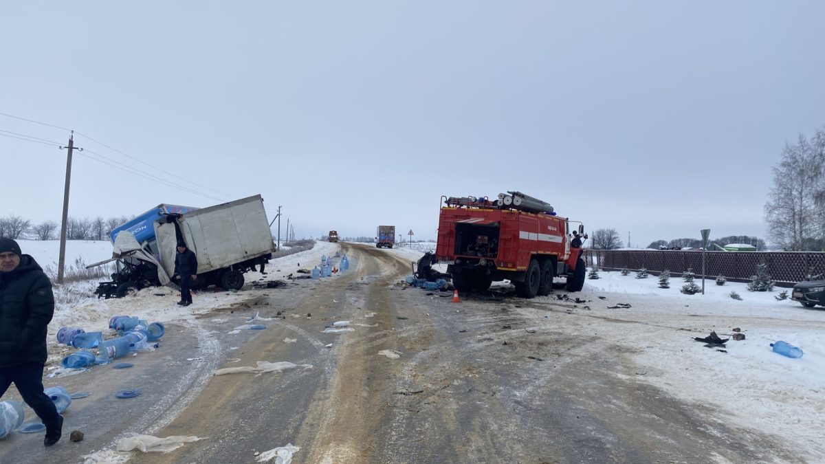 Фото: Госавтоинспекция РМ