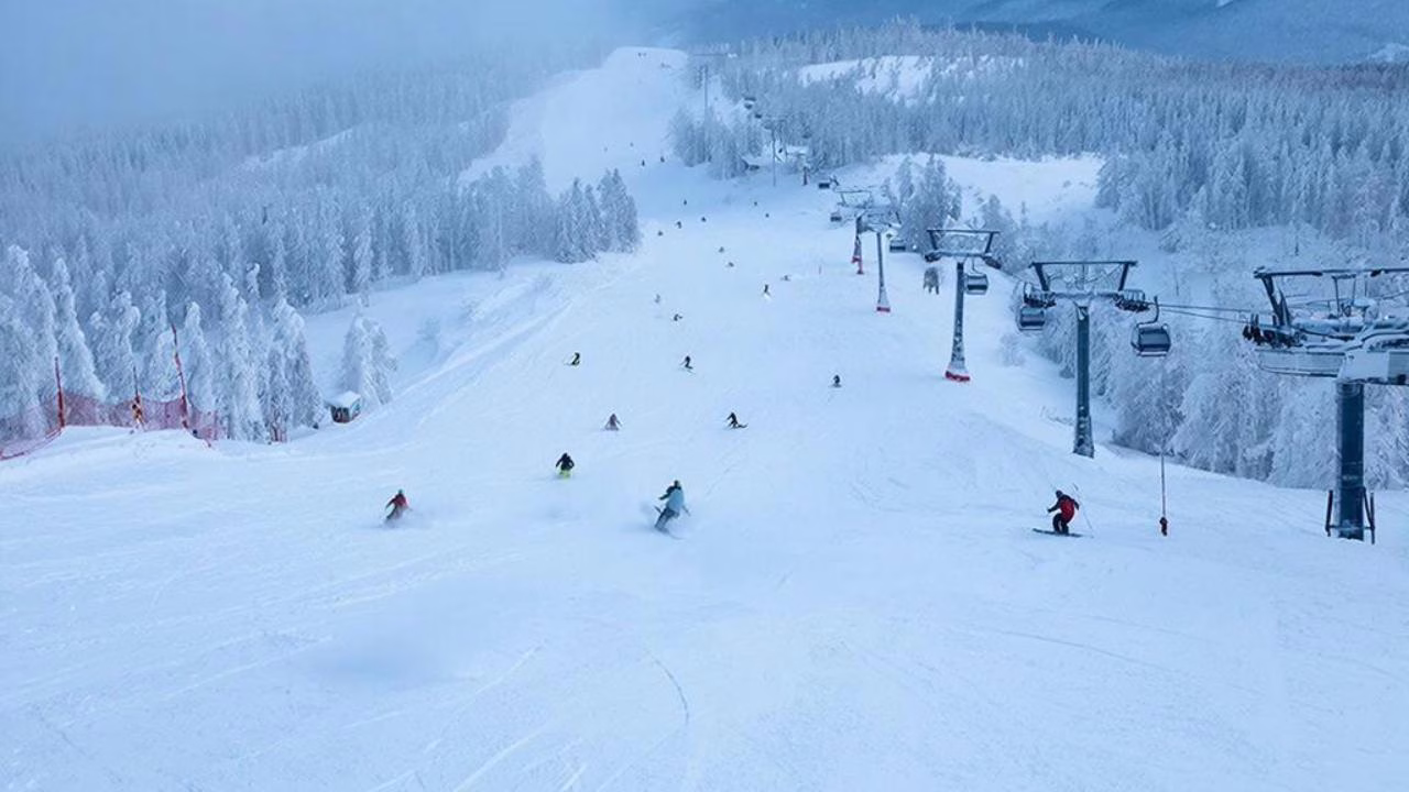 Фото сгенерировано нейросетью