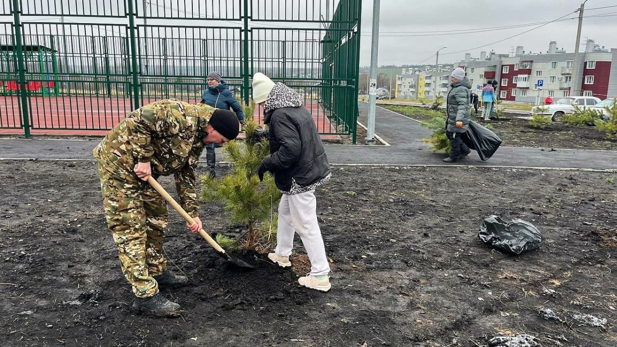 Фото из телеграм-канала Владимира Быкова