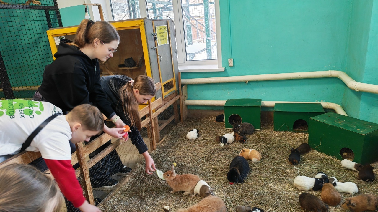 Фото: Саранский зоопарк