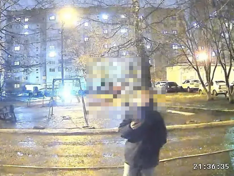 Фото: 13.мвд.рф