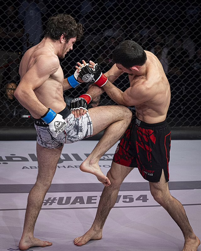 Фото: commons.wikimedia.org/Gismat/Creative Commons Attribution-Share Alike 4.0