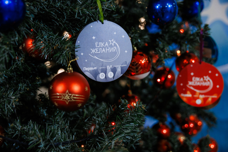 Мордовия подвела итоги очередного дня акции «Ёлка желаний»