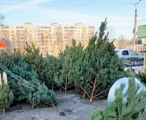 Фото: Администрация г.о. Саранск