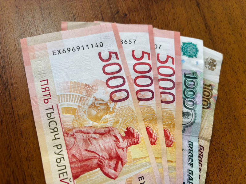 Фото: e-mordovia.ru