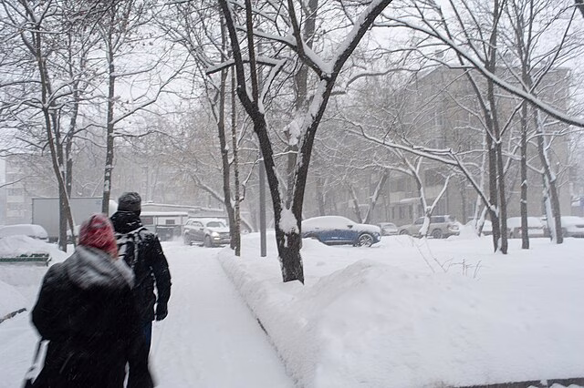 Фото: commons.wikimedia.org/Артём Светлов/Creative Commons Attribution-Share Alike 4.0