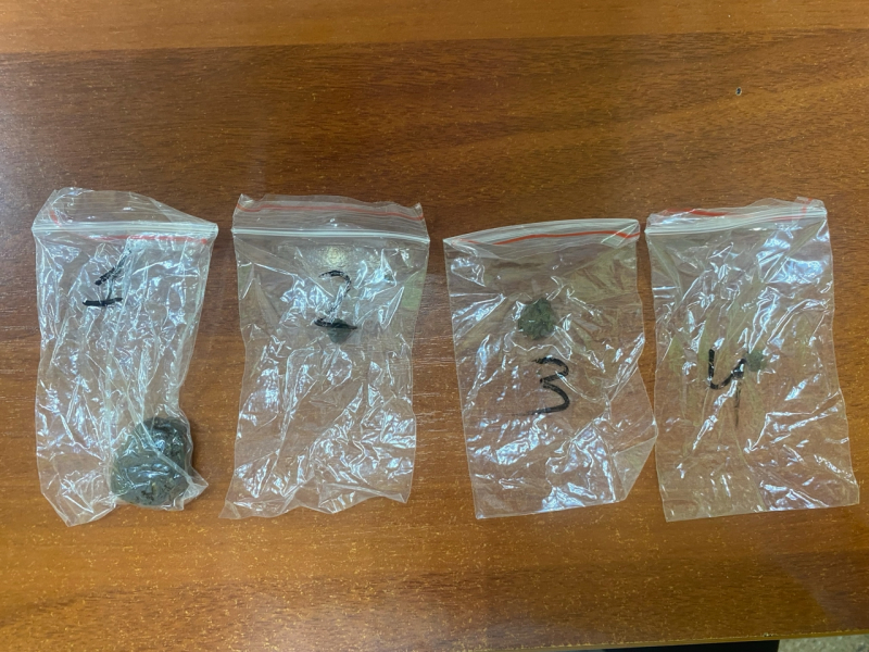 Фото: 13.мвд.рф