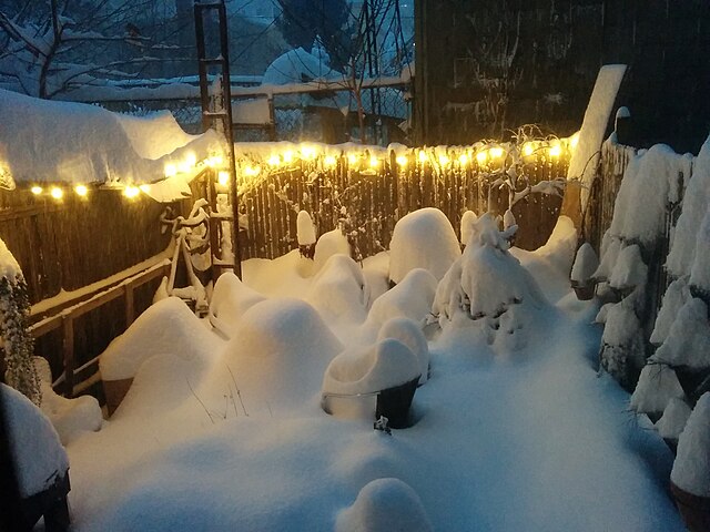 Фото: commons.wikimedia.org/Binary Koala/Creative Commons Attribution-Share Alike 2.0