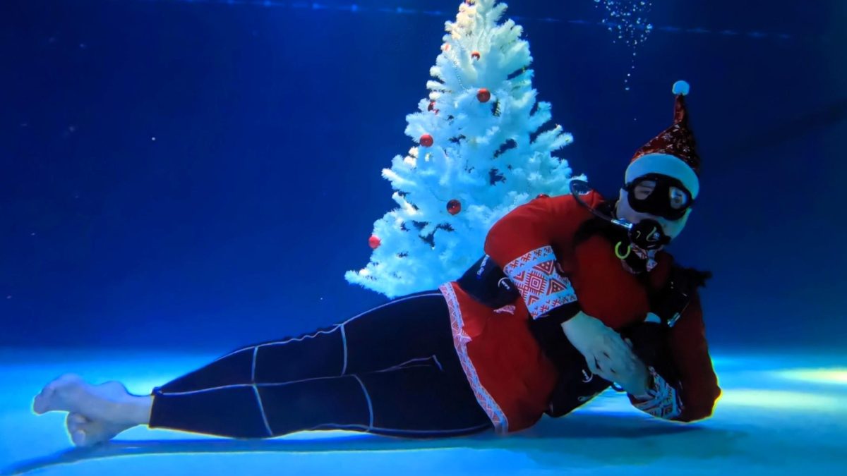Фото: Divefox club
