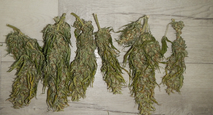 Фото: 13.мвд.рф