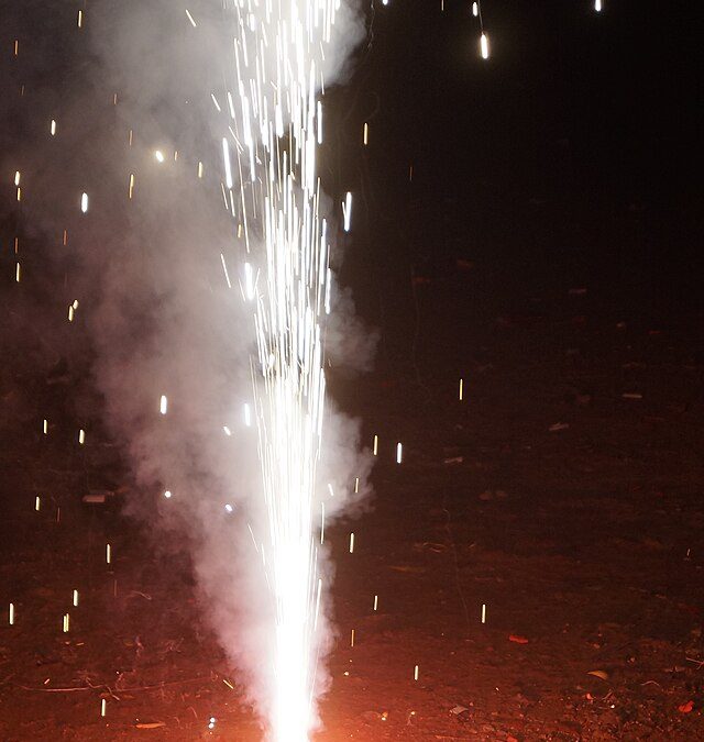 Фото: commons.wikimedia.org/Swetha01/Creative Commons Attribution-Share Alike 4.0