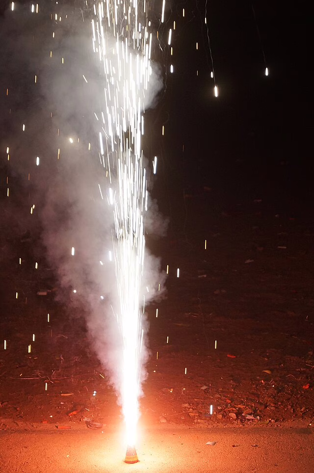 Фото: commons.wikimedia.org/Swetha01/Creative Commons Attribution-Share Alike 4.0