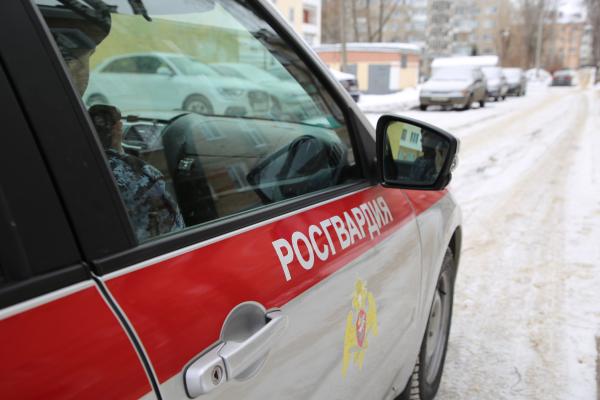 Фото: 13.rosguard.gov.ru
