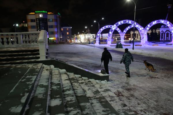 Фото: 13.rosguard.gov.ru