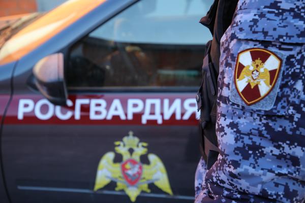 Фото: 13.rosguard.gov.ru