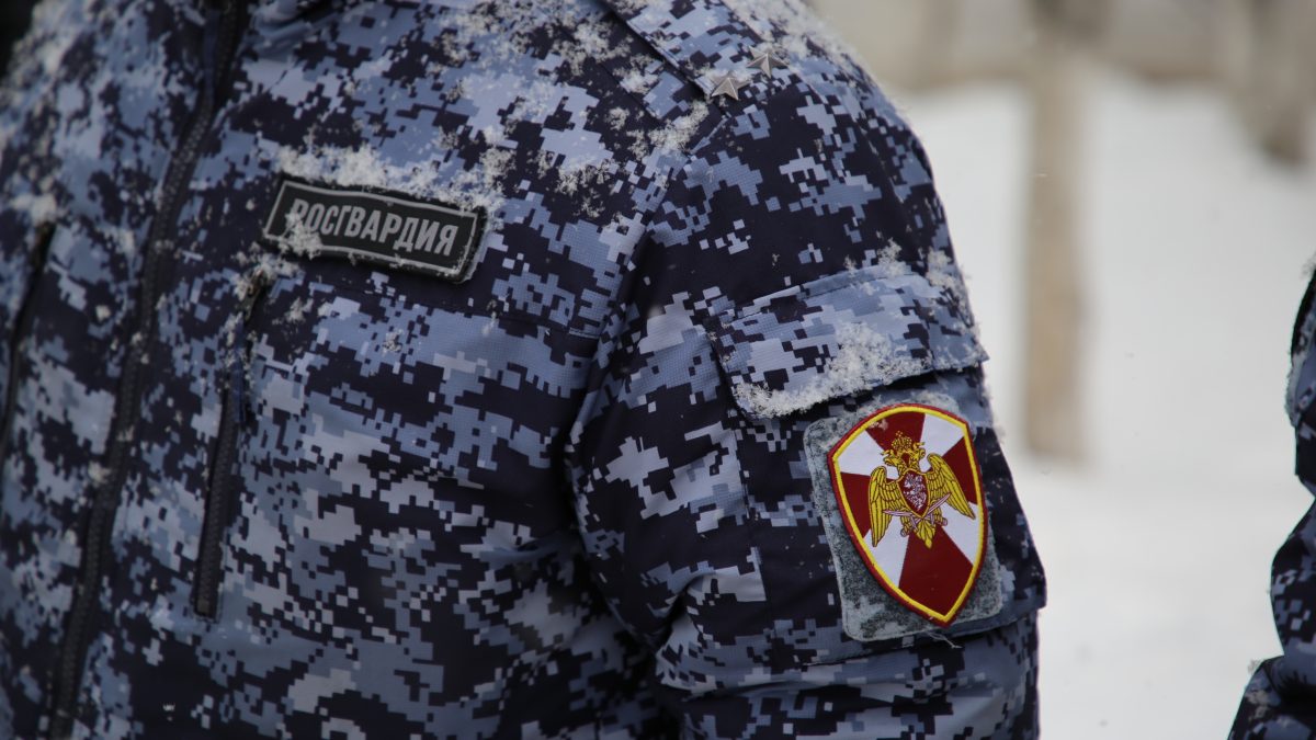 Фото: 13.rosguard.gov.ru