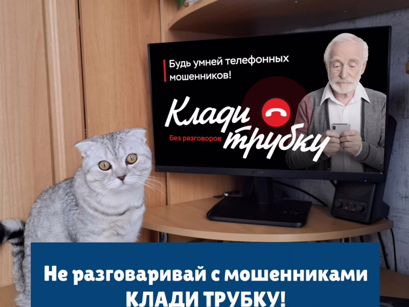 Фото: 13.мвд.рф