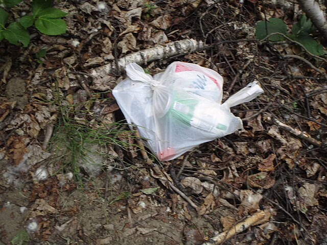 Фото: commons.wikimedia.org/Quinn Desilets/Creative Commons Attribution-Share Alike 4.0