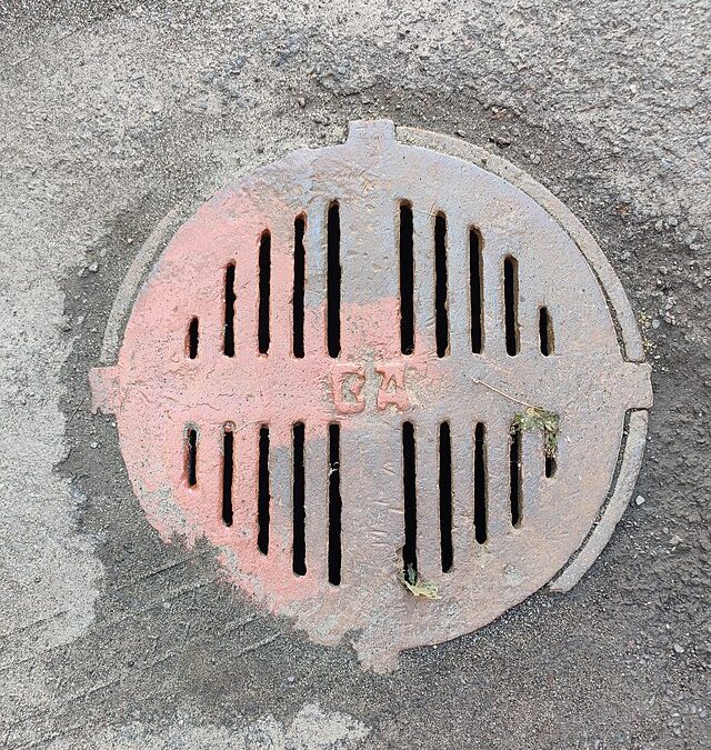 Фото: commons.wikimedia.org/Анастасия Юрьевна Львова/Creative Commons Attribution-Share Alike 4.0