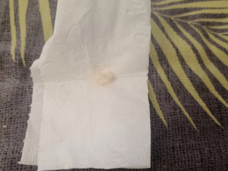 Фото: 13.мвд.рф