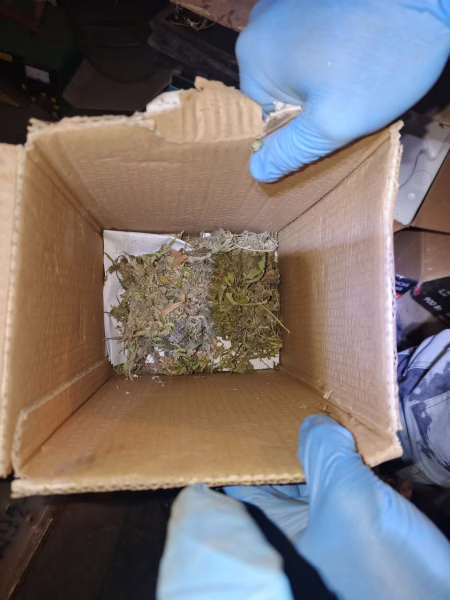 Фото: 13.мвд.рф