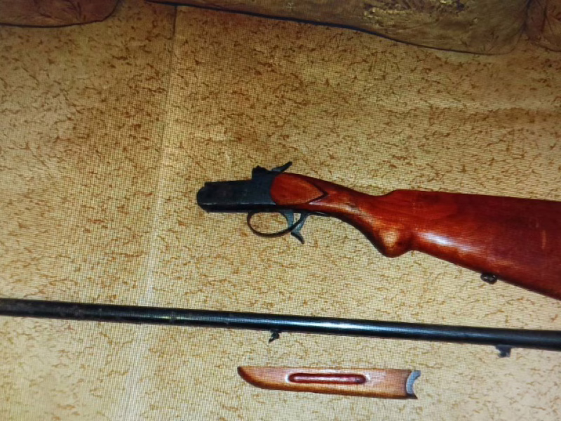 Фото: 13.мвд.рф