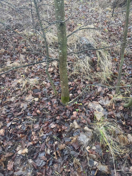 Фото: 13.мвд.рф