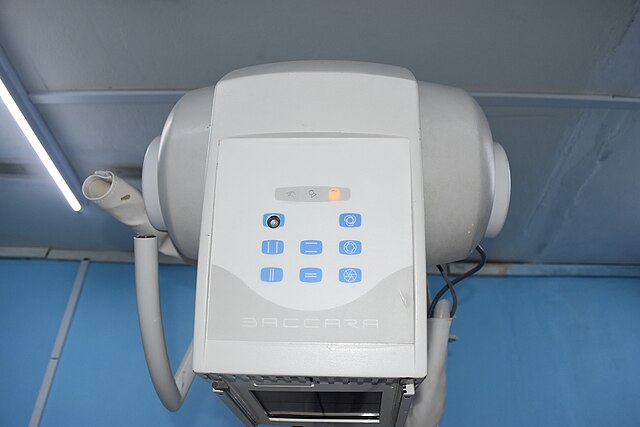 Фото: commons.wikimedia.org/Adoscam/Creative Commons Attribution-Share Alike 4.0