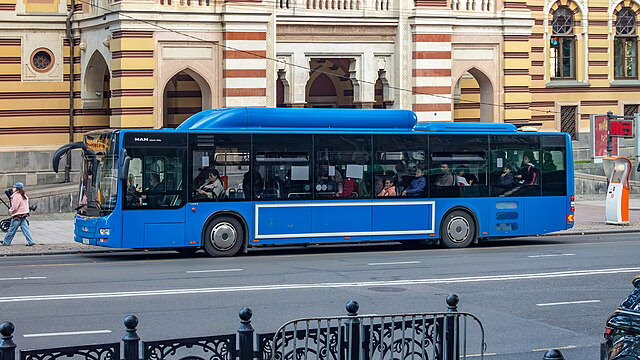 Фото: commons.wikimedia.org/Николай Булыкин/Creative Commons Attribution-Share Alike 4.0