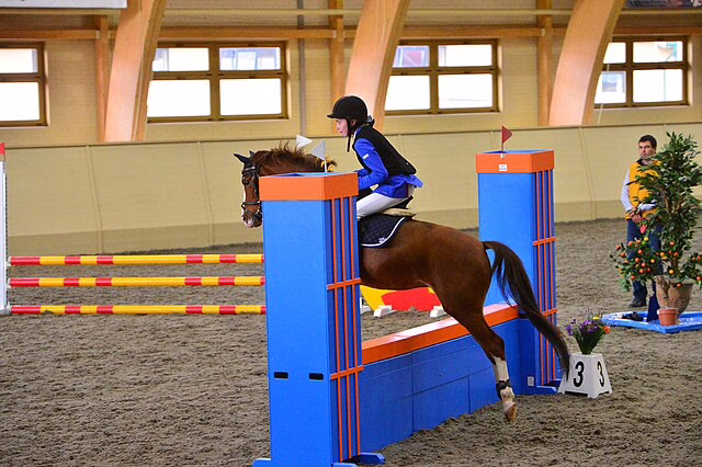 Фото: commons.wikimedia.org/Anastasiia2017/Creative Commons Attribution-Share Alike 4.0