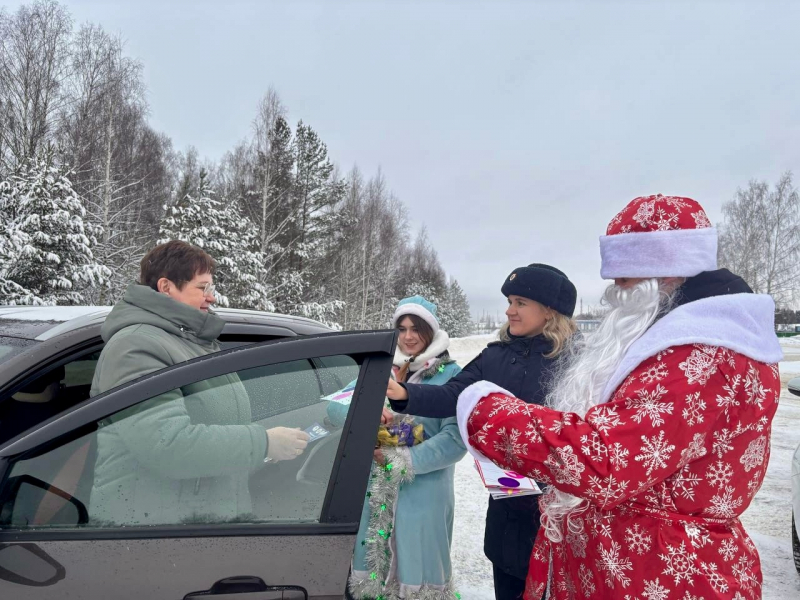 Фото: 13.мвд.рф