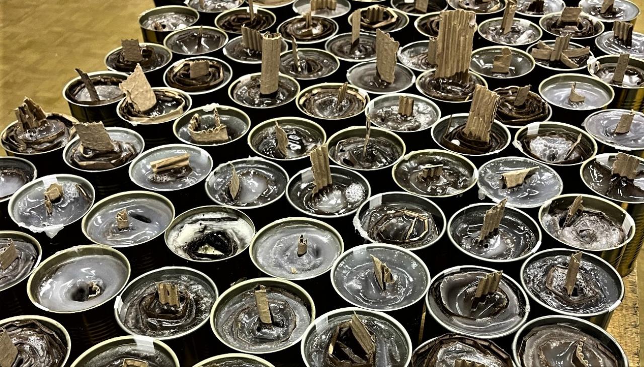 Фото: волонтёрский центр МГУ им. Н.П. Огарёва