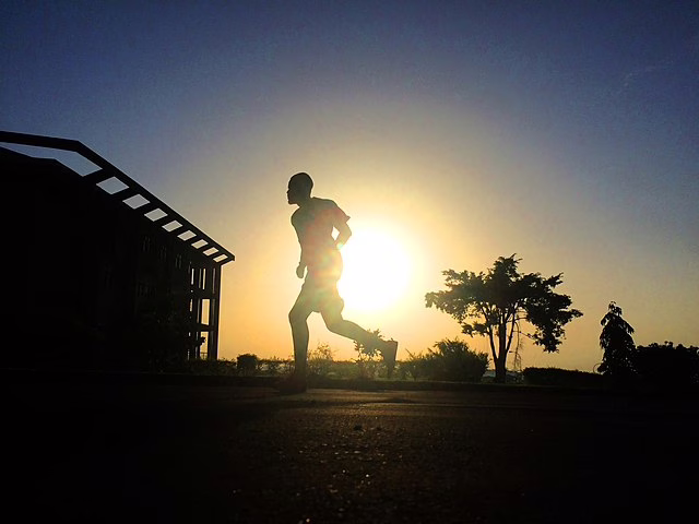 Фото: commons.wikimedia.org/Collins Ngwashi/Creative Commons Attribution-Share Alike 4.0