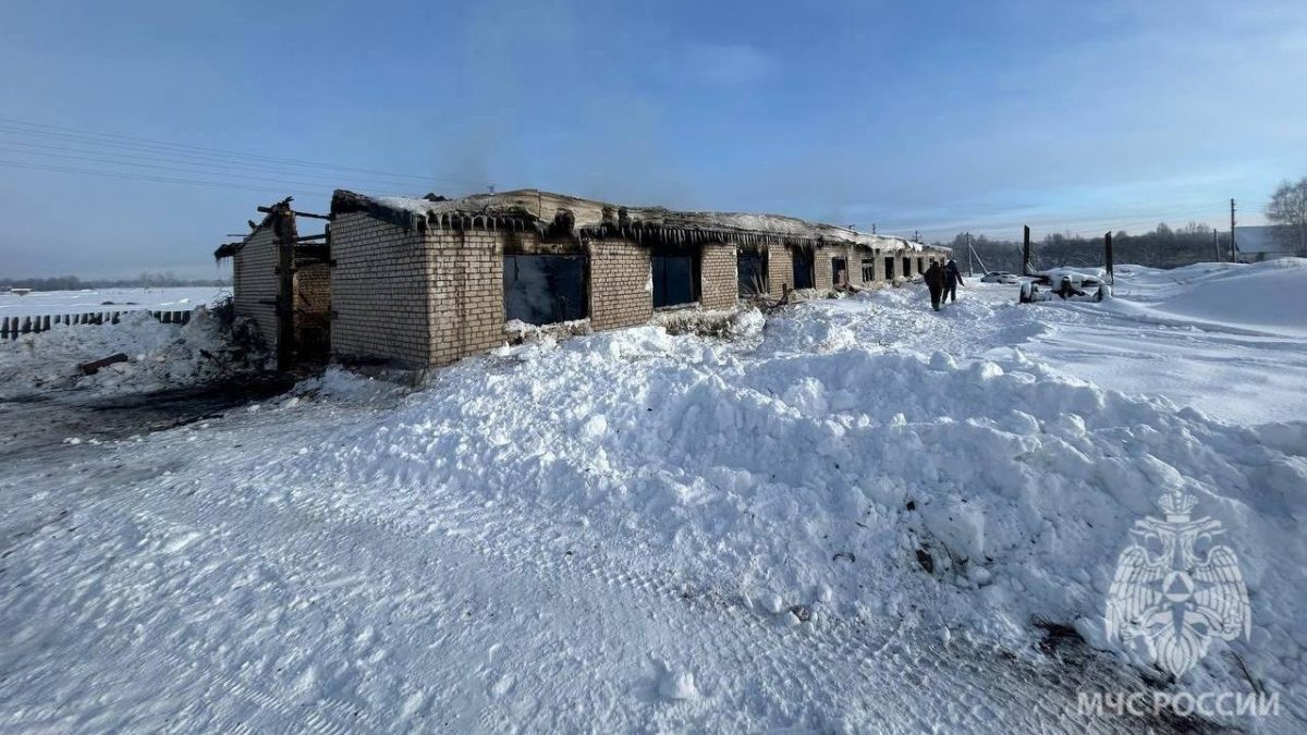 Фото: МЧС РМ